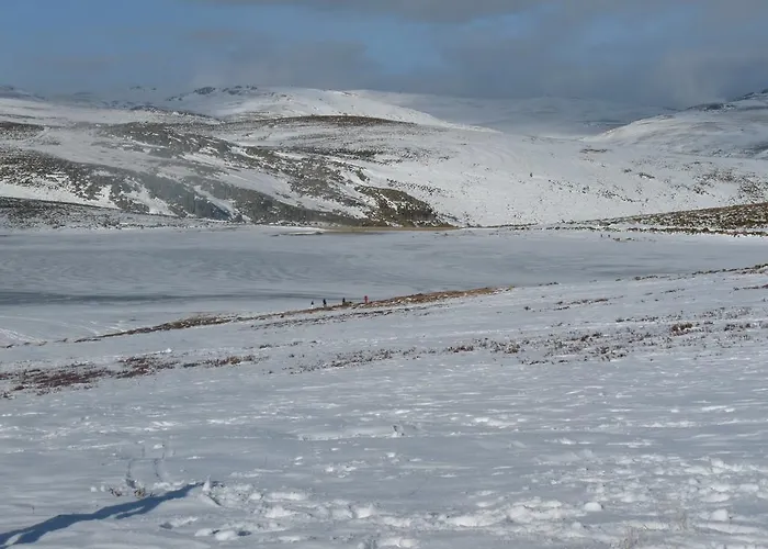 Tres Estrellas Casa Maribona Gela