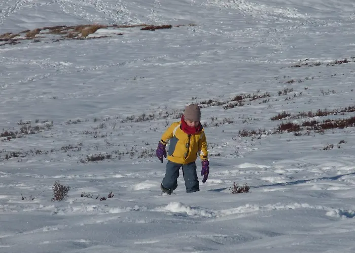 호텔 Tres Estrellas Casa Maribona Gela